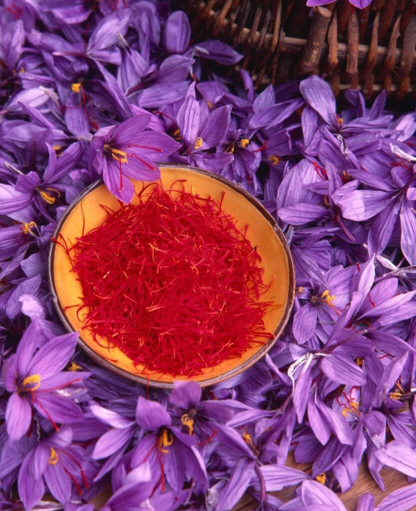 Kashmir saffron
